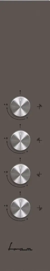 Aragaz incorporabil Fram FBH-V4IWF-GMK (Brown)