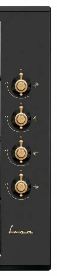 Aragaz incorporabil Fram FBH-V4IWF-RBK (Black)