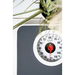 Весы напольные Adler AD 8178 (Black/White) Thumb