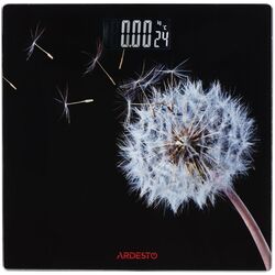 Весы напольные Ardesto SCB-965BL (Picture)