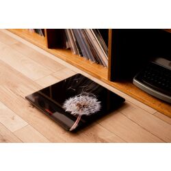 Весы напольные Ardesto SCB-965BL (Picture) Thumb