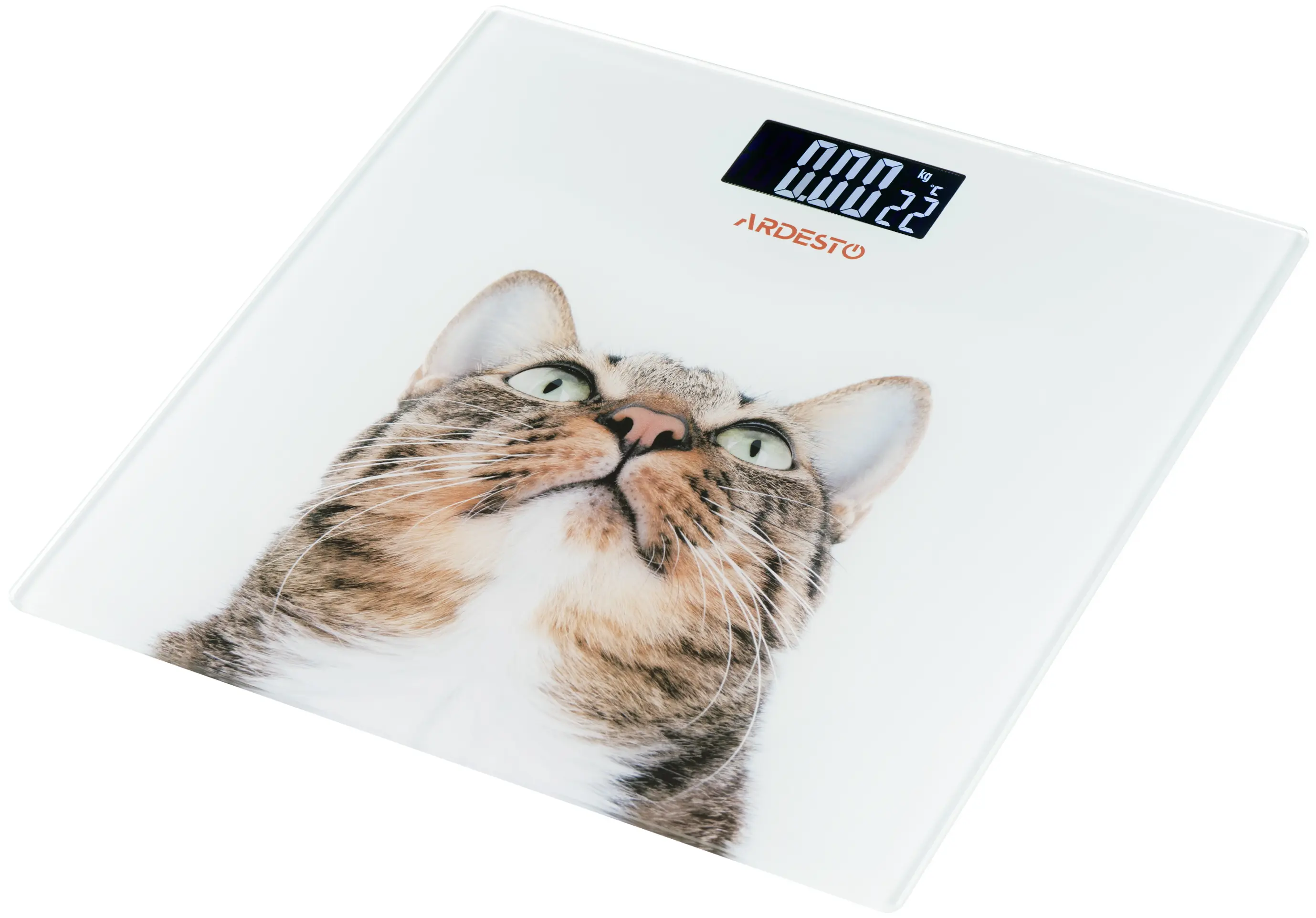 Cantar de podea Ardesto SCB-965CAT (White) - 2