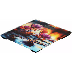 Весы напольные Ardesto SCB-965LOTUS (Picture) Thumb