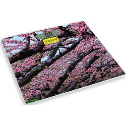 Cîntar electronic Maestro MR-1823