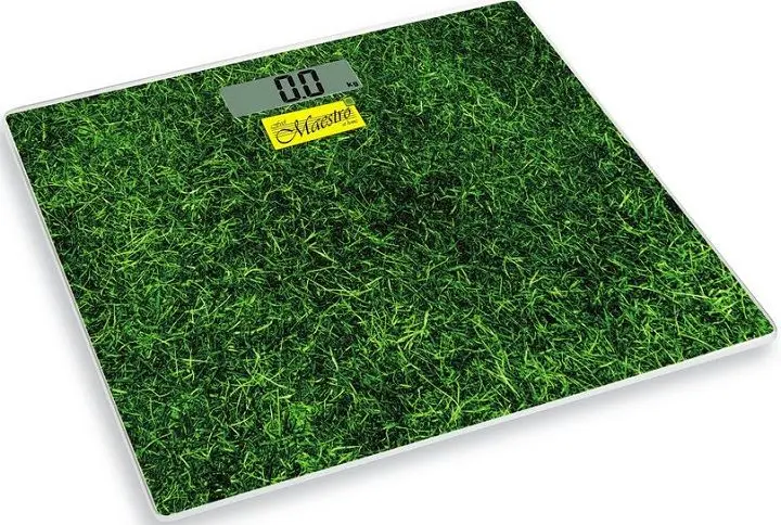 Cîntar electronic Maestro MR-1824