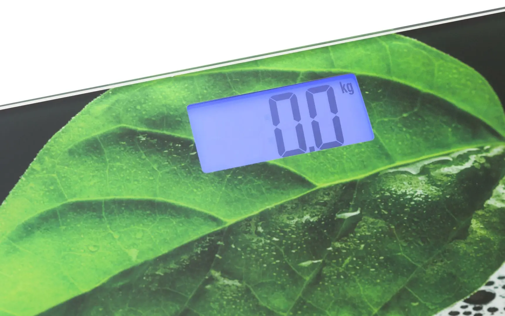 Cantar de podea Mesko MS 8149 (Black/Green)