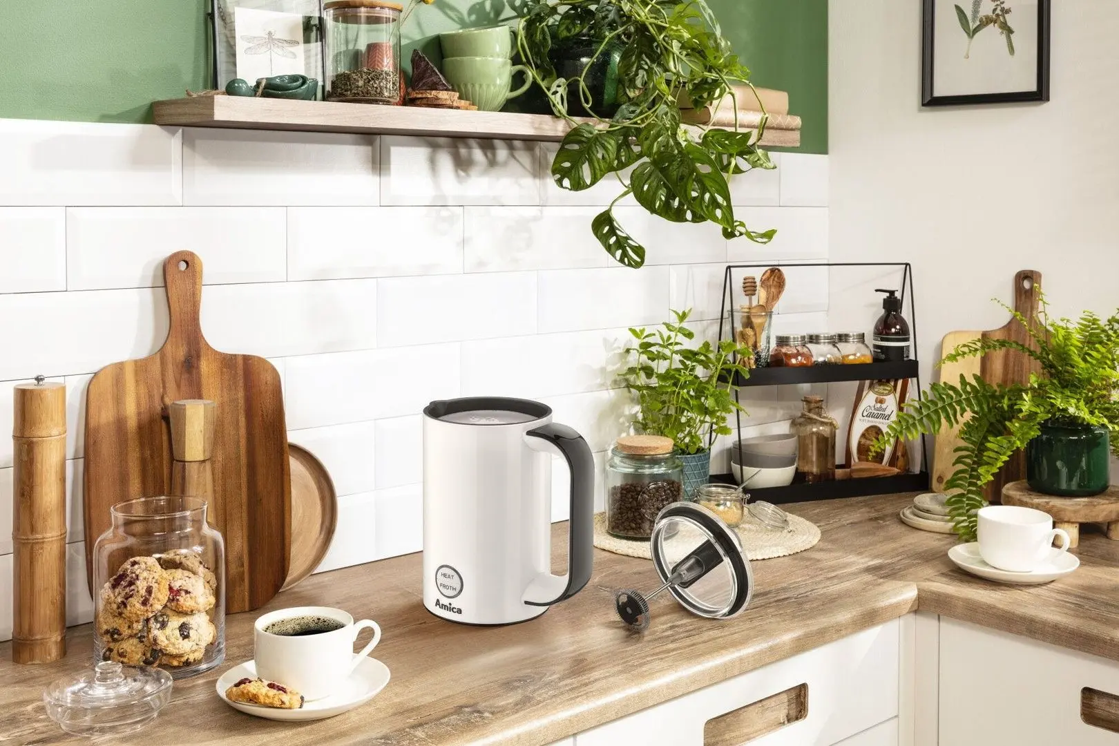 Вспениватель молока Amica FD 3011 (White)