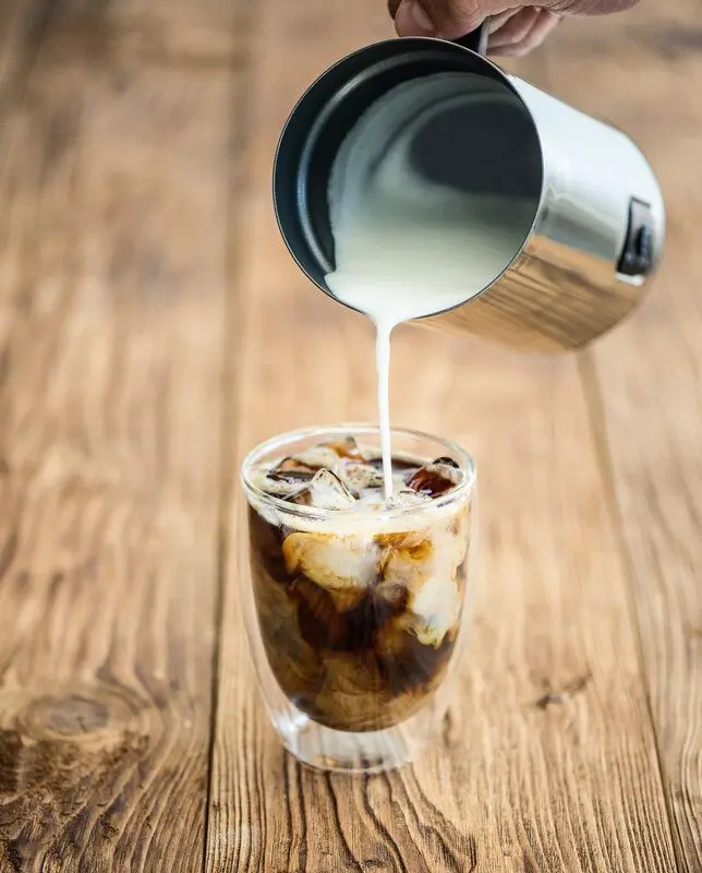 Aparat de spumare a laptelui ETA Latteo (Inox)