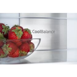 Встраиваемый холодильник Amica BK3055.6NFM(E) (White) Thumb