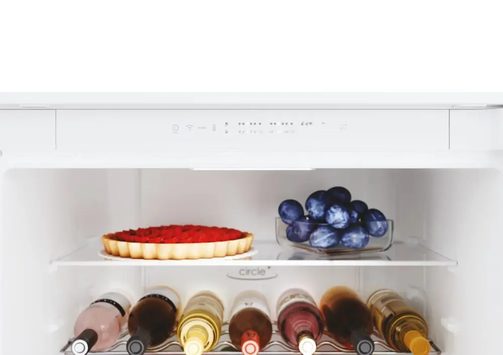 Холодильник Candy CBT7719EW (White)