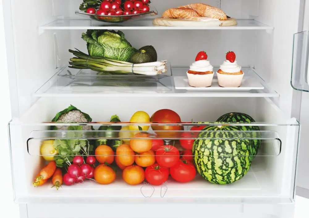 Холодильник Candy CBT7719EW (White)