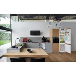 Встраиваемый холодильник Franke Mythos FCB 400 V NE E (White) Thumb