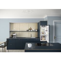 Frigider incorporabil Liebherr Plus IRBd 4120 (White) Thumb