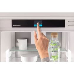 Встраиваемый холодильник Liebherr Prime IXCC 5155 (White) Thumb