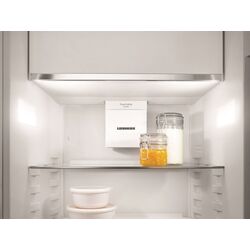 Встраиваемый холодильник Liebherr Pure ICe 5103 (White) Thumb