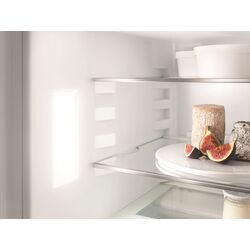 Встраиваемый холодильник Liebherr Pure ICe 5103 (White) Thumb