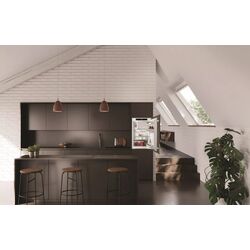 Frigider incorporabil Liebherr Pure IRf 3901 (White) Thumb