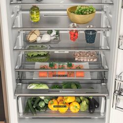 Встраиваемый холодильник Whirlpool WH SP70 T121 (White) Thumb