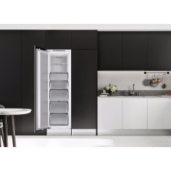 Встраиваемый морозильный шкаф Samsung BRZ22700EWW/EF (White) Thumb