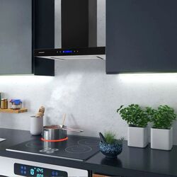 Hota Berdsen BE-60E (Black) Thumb