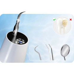 Scaler Berdsen BD-250 325000 (White) Thumb