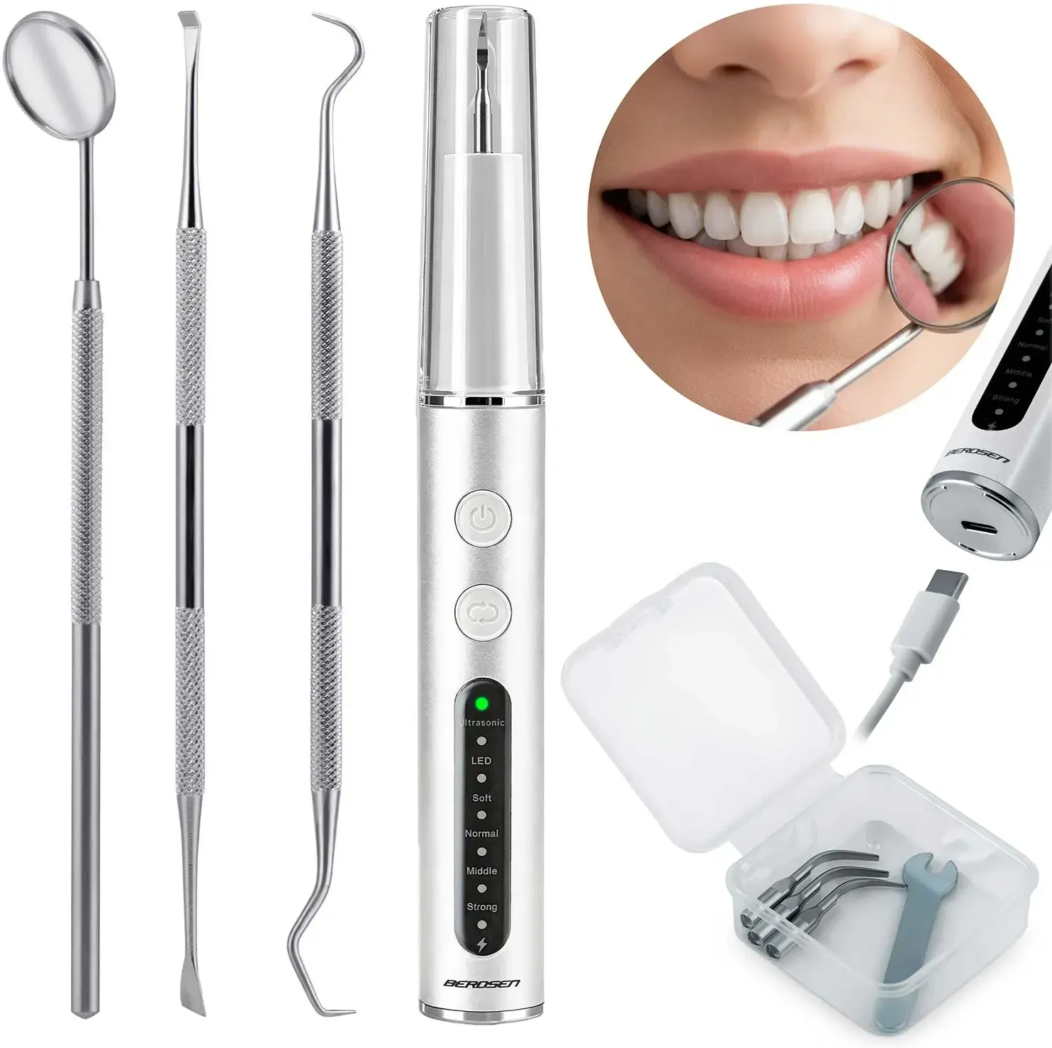 Scaler Berdsen BD-251 325100 (Inox/White) - 2