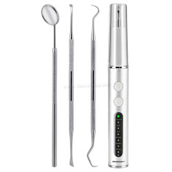 Scaler Berdsen BD-251 325100 (Inox/White)