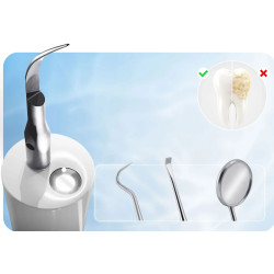 Scaler Berdsen BD-251 325100 (Inox/White) Thumb