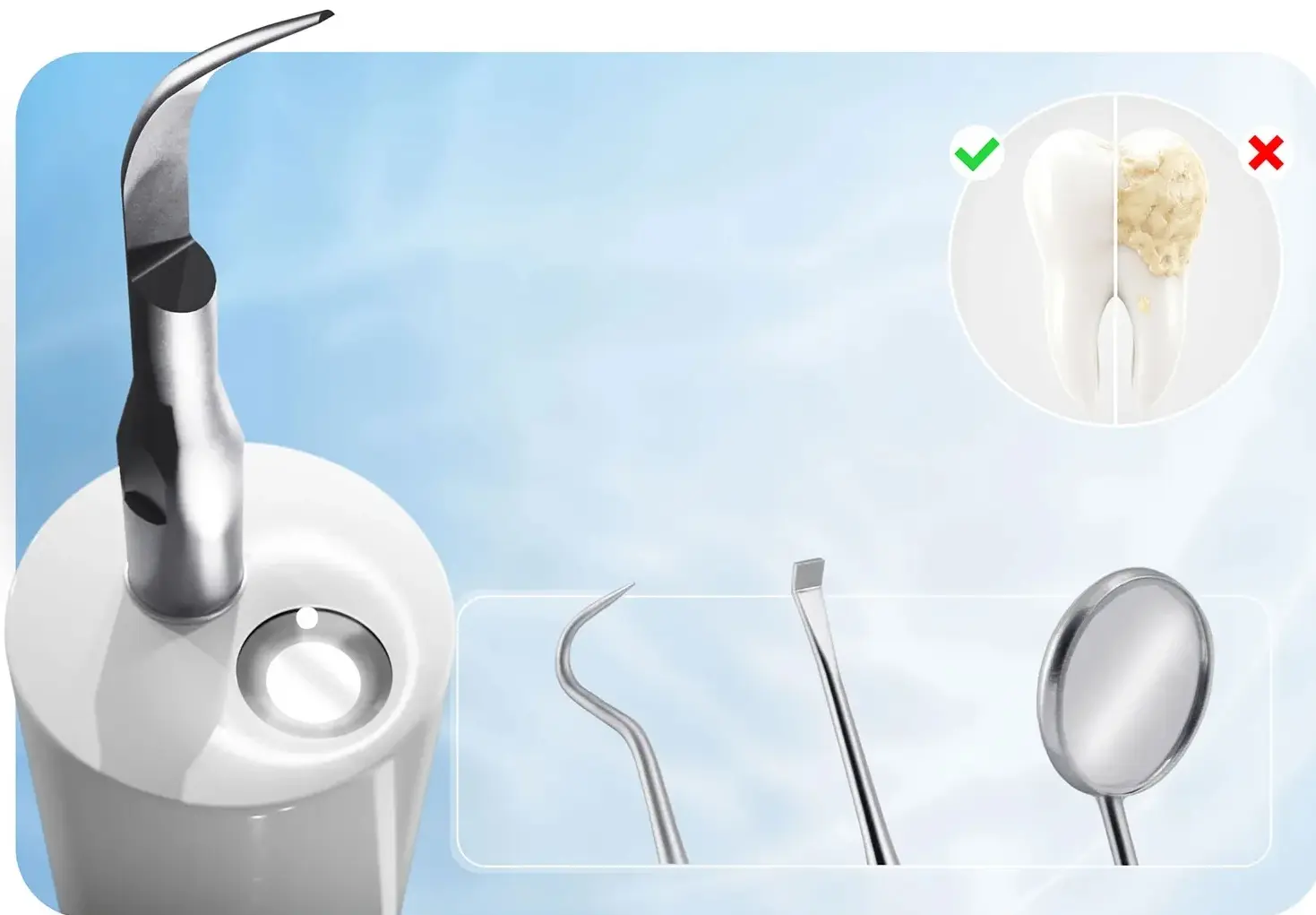 Scaler Berdsen BD-251 325100 (Inox/White) - 5