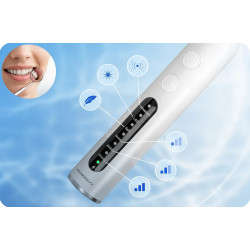 Scaler Berdsen BD-251 325100 (Inox/White) Thumb
