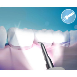 Scaler Berdsen BD-251 325100 (Inox/White) Thumb