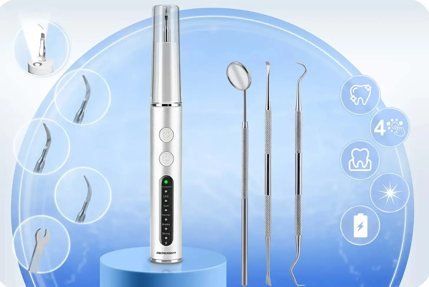 Scaler Berdsen BD-251 325100 (Inox/White) - 10