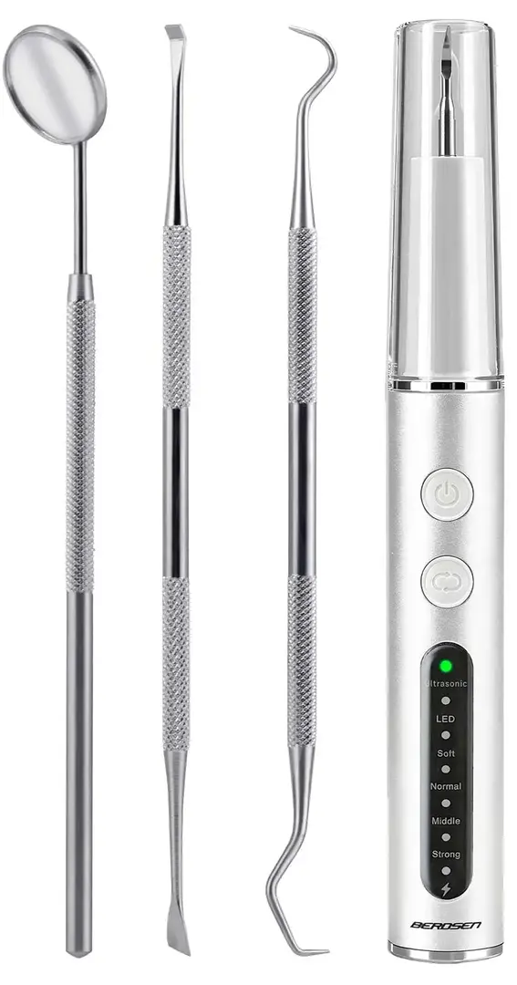 Scaler Berdsen BD-251 325100 (Inox/White)
