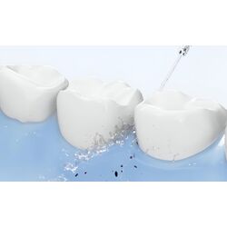 Irigator Bitvae BV F30 (White) Thumb