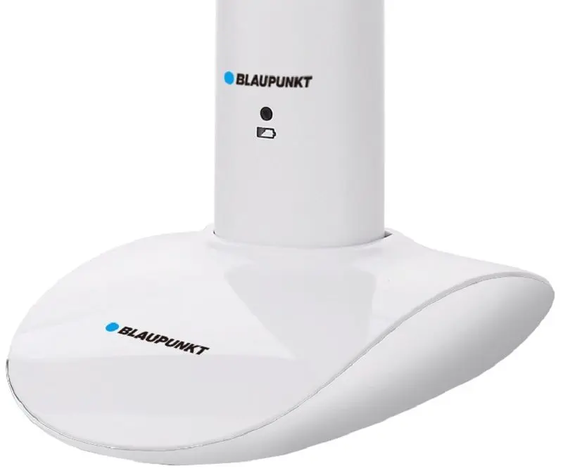 Электрическая зубная щетка Blaupunkt DTS601 (White)