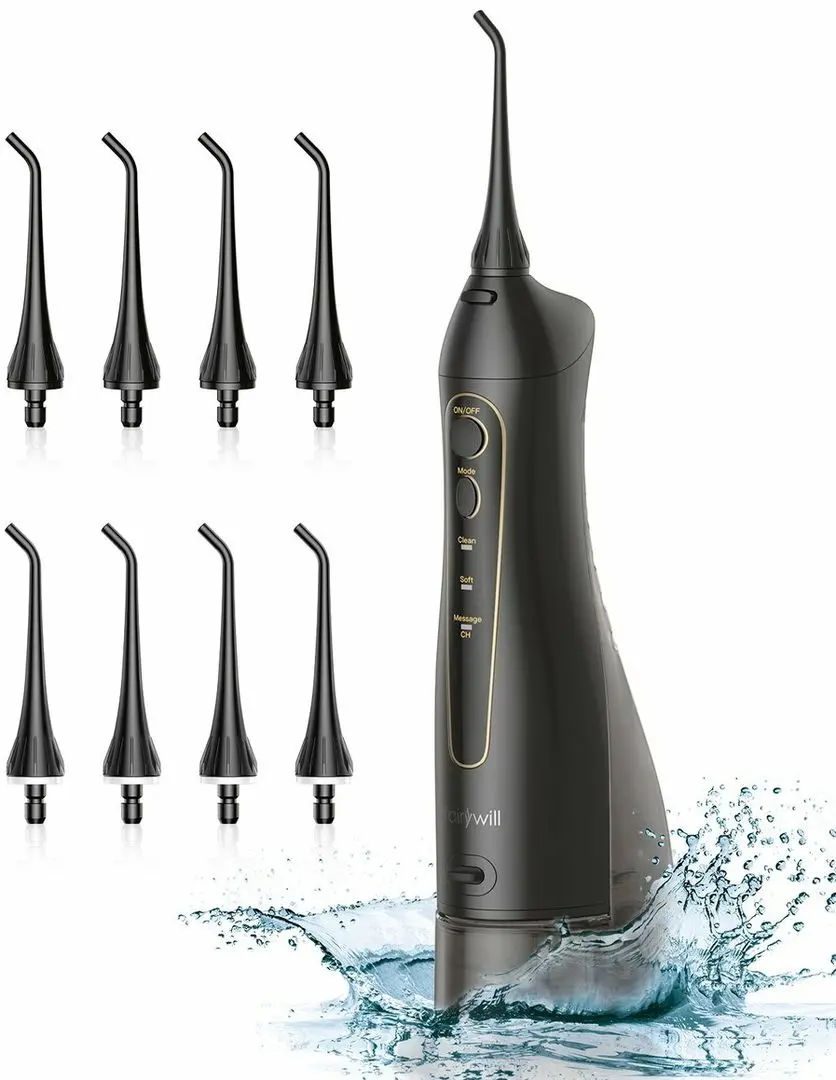 Irigator FairyWill FW-5020E (Black)