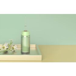 Иригатор Nicefeel Flosser FC5120 (Green) Thumb