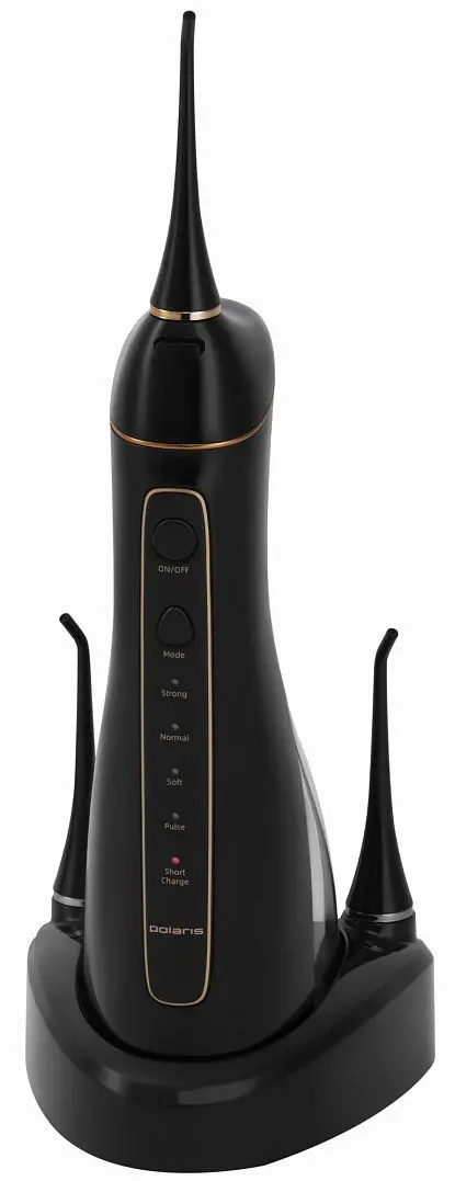 Irigator Polaris PWF 0201 (Black) - 4