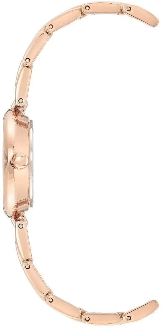 Ceas de mana Anne Klein AK/3598RGST (Beige/Gold)
