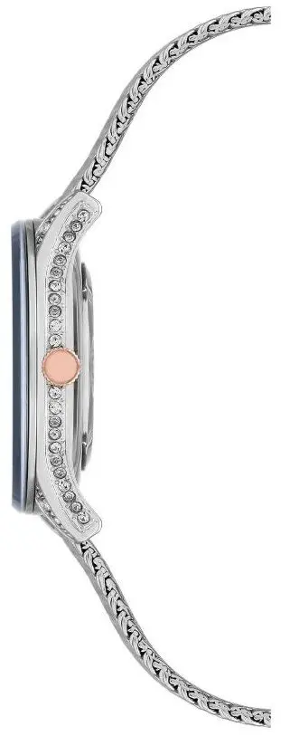 Ceas de mana Anne Klein AK/N2208TMGB (Silver/Black)