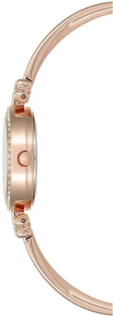 Ceas de mana Anne Klein AK/N2238RGST