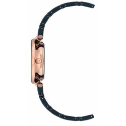 Ceas de mana Anne Klein Ceramic AK/3266NVRG (Blue/Rose Gold) Thumb