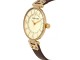 Ceas de mana Anne Klein Leather Strap 10/9168IVBN (Brown/Gold)