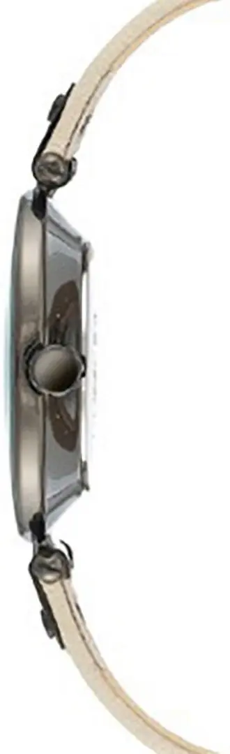 Ceas de mana Anne Klein Leather Strap AK/3445GYCR (Beige/Black)