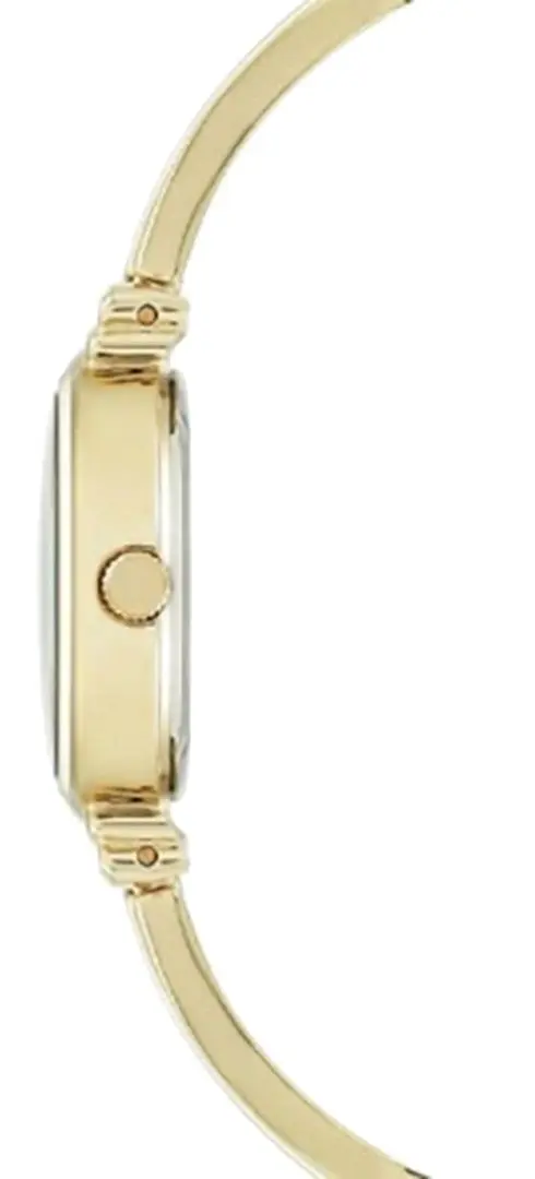 Ceas de mana Anne Klein Metal AK/2216IVGB (Gold/Pearl)