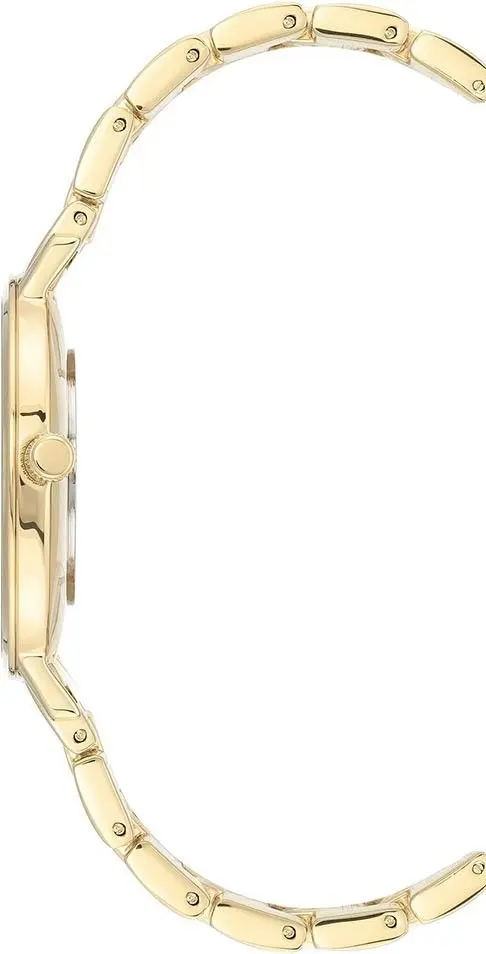 Ceas de mana Anne Klein Metal AK/3680MPGB (Gold)