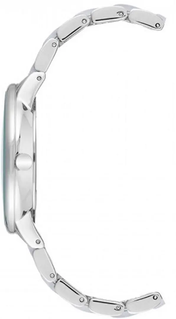 Ceas de mana Anne Klein Plastic AK/1413LGSV (Silver)