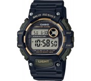 Наручные часы Casio Collection TRT-110H-1A2