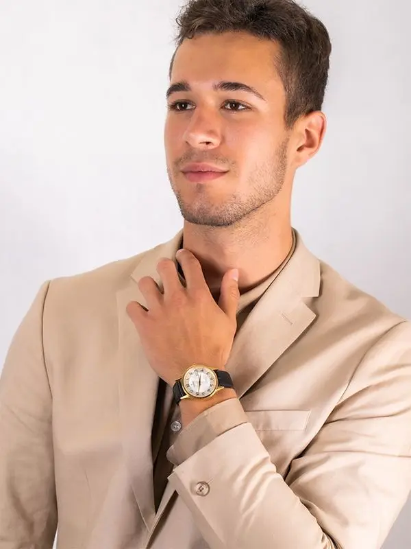 Наручные часы Festina F20010/1 (Black/Gold/Silver)