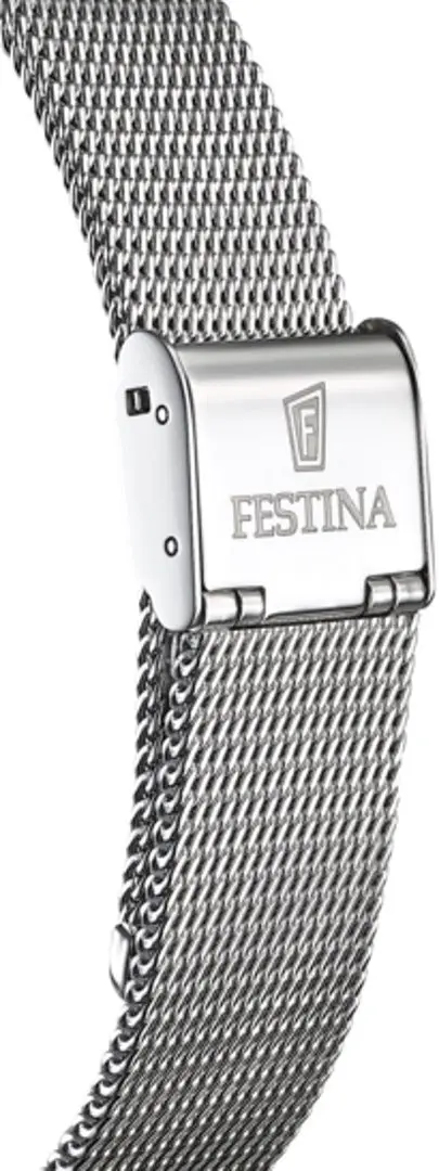 Наручные часы Festina Swiss Made F20015/2 (Silver) - 2